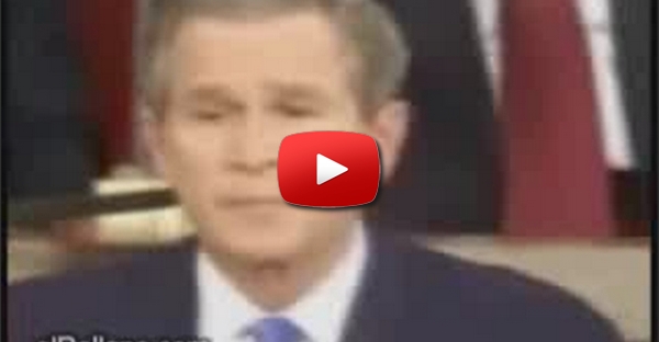 Bush Beatbox